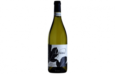 gavi