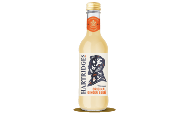 ginger-oblojka